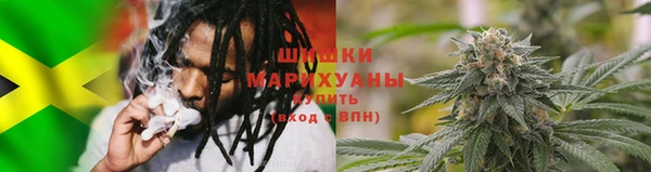 прущая мука Няндома