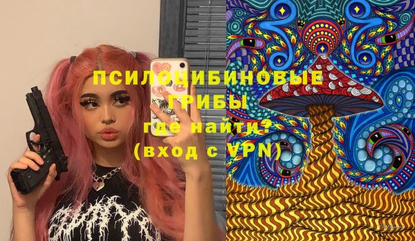 прущая мука Няндома