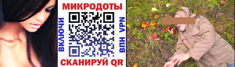 Псилоцибиновые грибы Psilocybe  Отрадный 